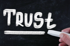 To Trust or Not to Trust?